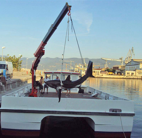 КМУ Fassi F245A.2.24 L214 фото
